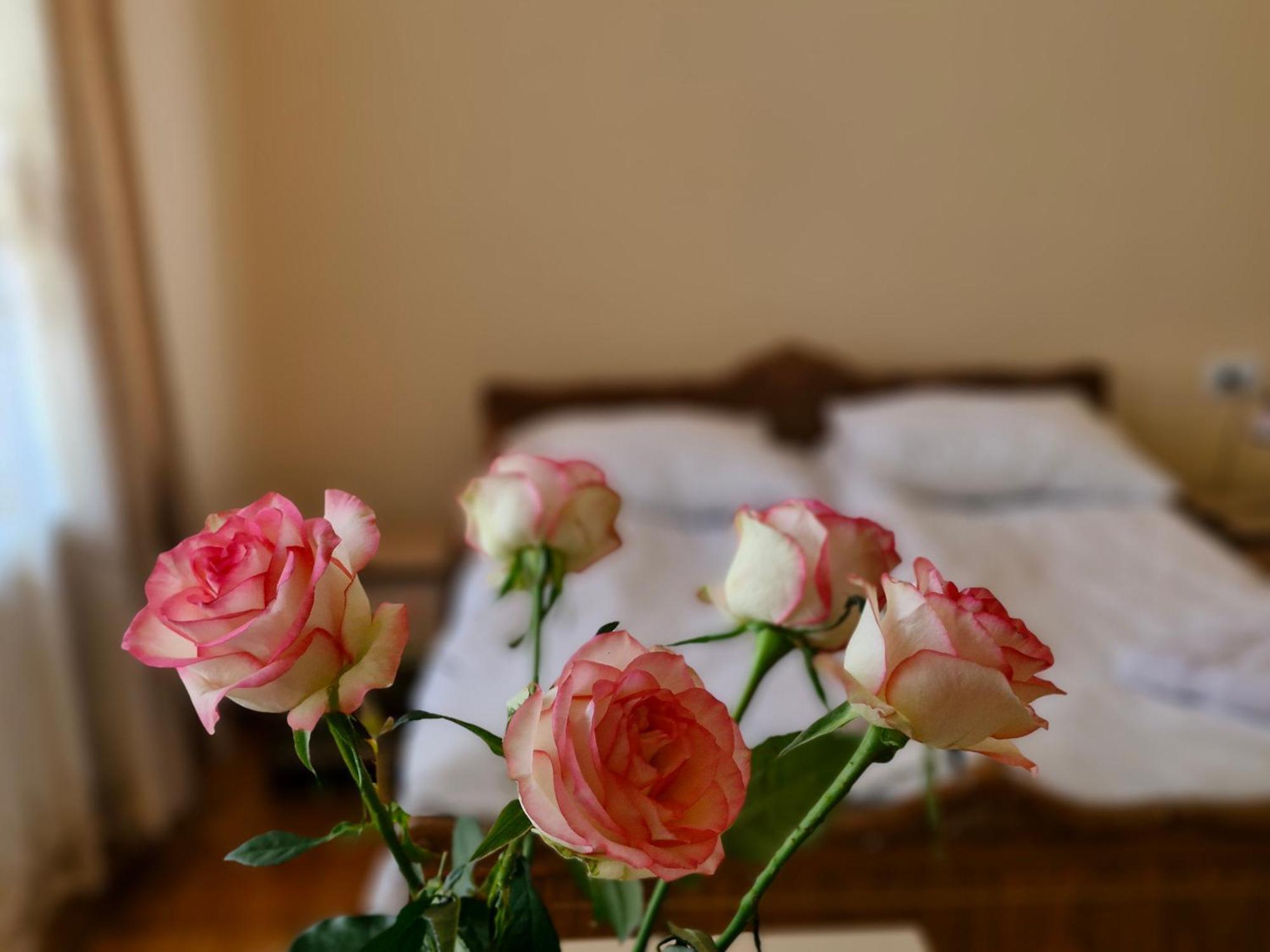 Guest House David'S B&B Ґюмрі Екстер'єр фото