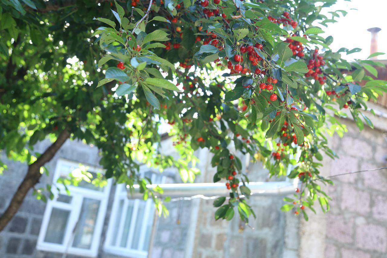 Guest House David'S B&B Ґюмрі Екстер'єр фото
